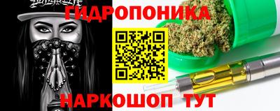 индика Ливны