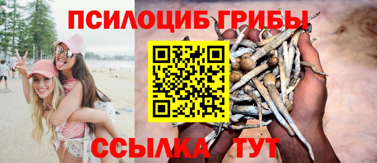 Кимовск  Галлюциногенные грибы ЛСД  Вход с VPN 
