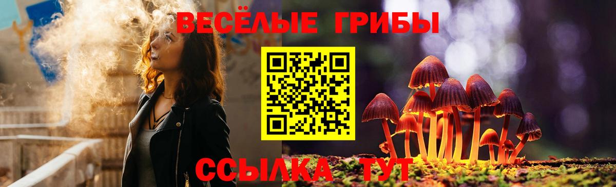 Галлюциногенные грибы GOLDEN TEACHER Кимовск